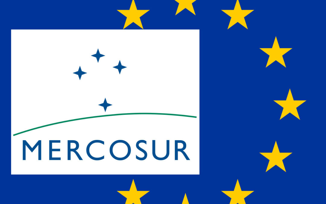Mercosur : protégeons notre filière betterave, sucre et éthanol